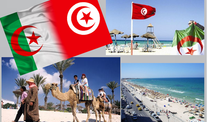 سجل ارتفاعا بـ17 بالمائة..   توافد 1.589 مليون سائح جزائري إلى موفى جويلية 2025